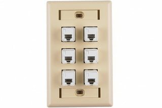 HellermannTyton FPISIX-I 6-Port Single-Gang Faceplate with Identification Windows, Ivory