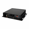 EA-MINI-SUB-1D-100 Digital Subwoofer Mini Amplifier, 100W, 1-Channel