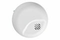 BRK 1046884 Interconnectable Ion Smoke and CO Alarm with 10-Year Battery Backup