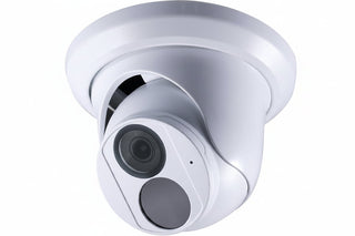 125-EBD880W-000 8MP AI Super Low Lux WDR Pro IR Eyeball IP Dome Camera, H.265
