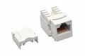 Tripp Lite N238-001-WH CAT6/CAT5e 110 Style Punch Down Keystone Jack, White