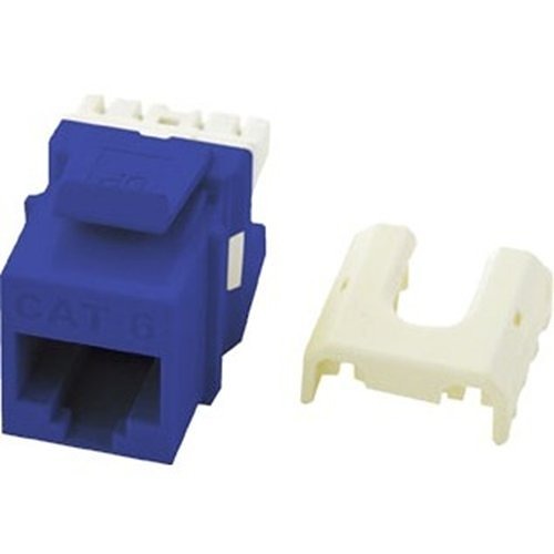 WP3476-BE-50 Cat6 RJ45 Keystone Network Insert, Blue, 50-Pack